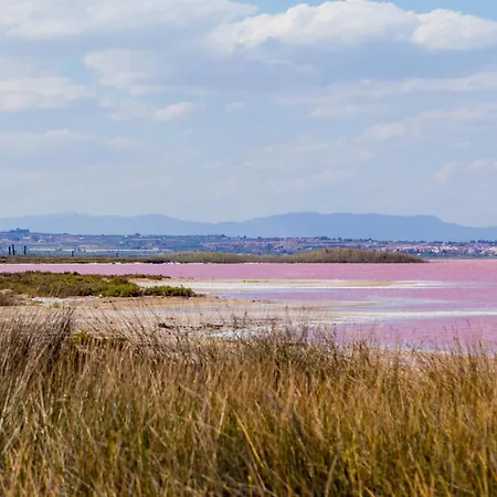 Caruso Id81 Apartament